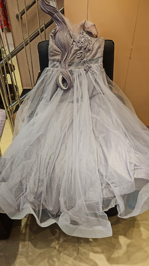 Silver Mist Embellished Net Gown